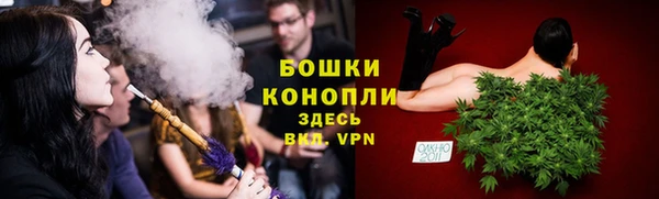 прущая мука Нея